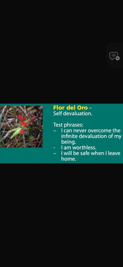 Flor del Oro