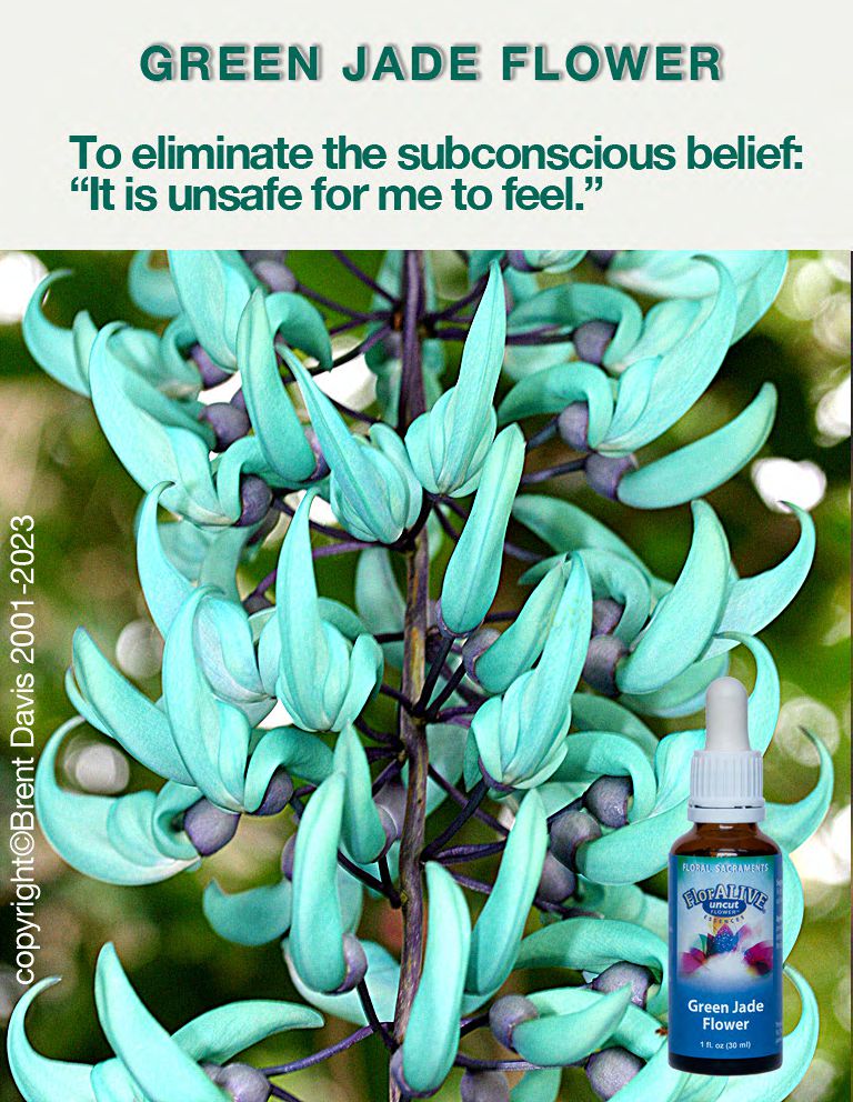 Green Jade Flower