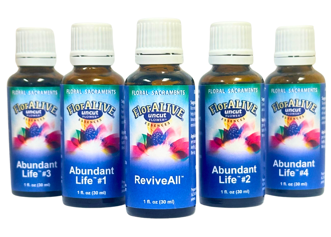 5 bottle ABUNDANT LIFE PROGRAM