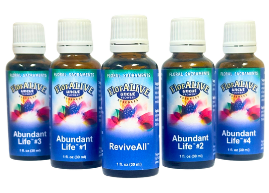 5 bottle ABUNDANT LIFE PROGRAM