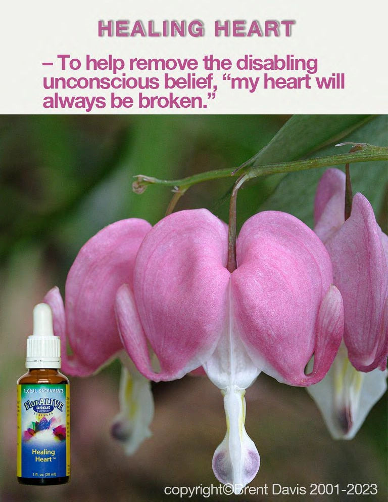 Healing Heart™