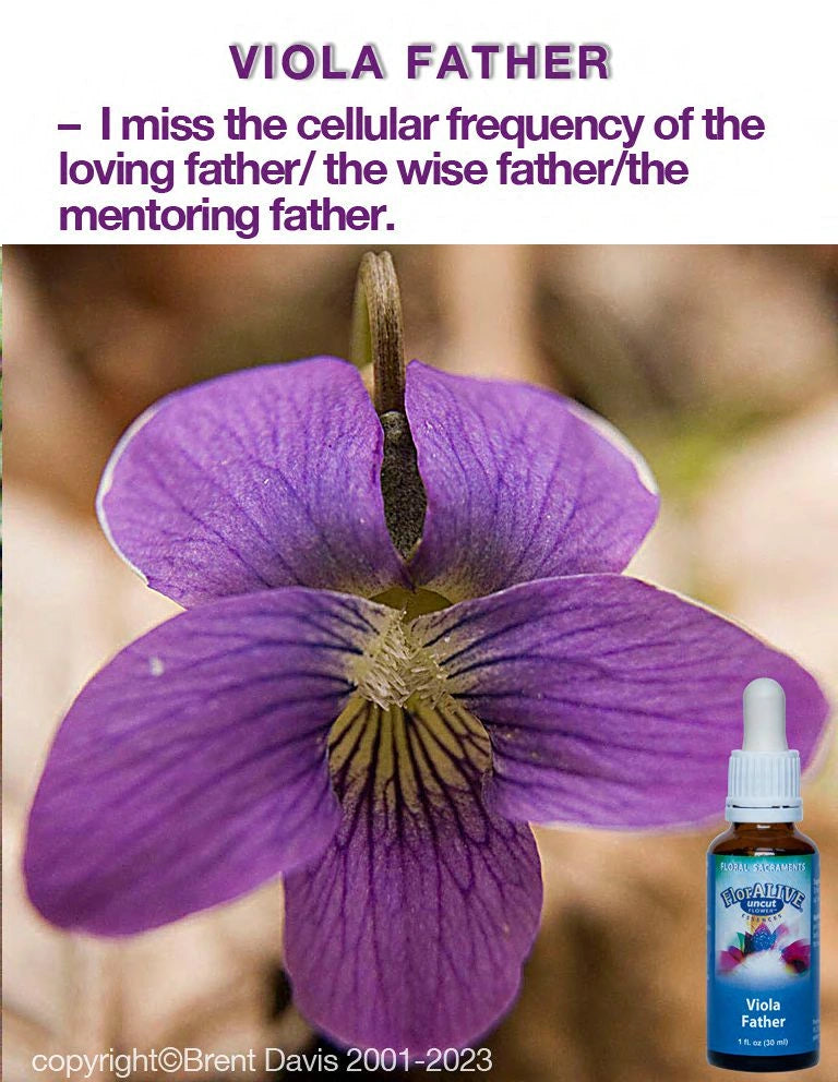 Viola Father