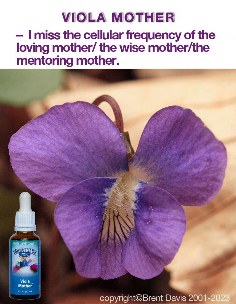 Viola Mother
