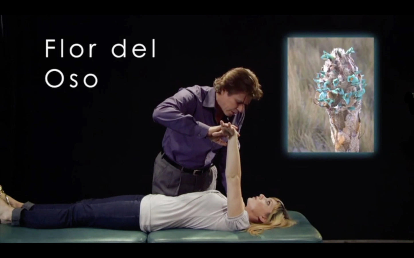 FlorAlive® Training Video-2023